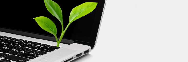 WinGet Vs Chocolatey for Evergreen Application Management